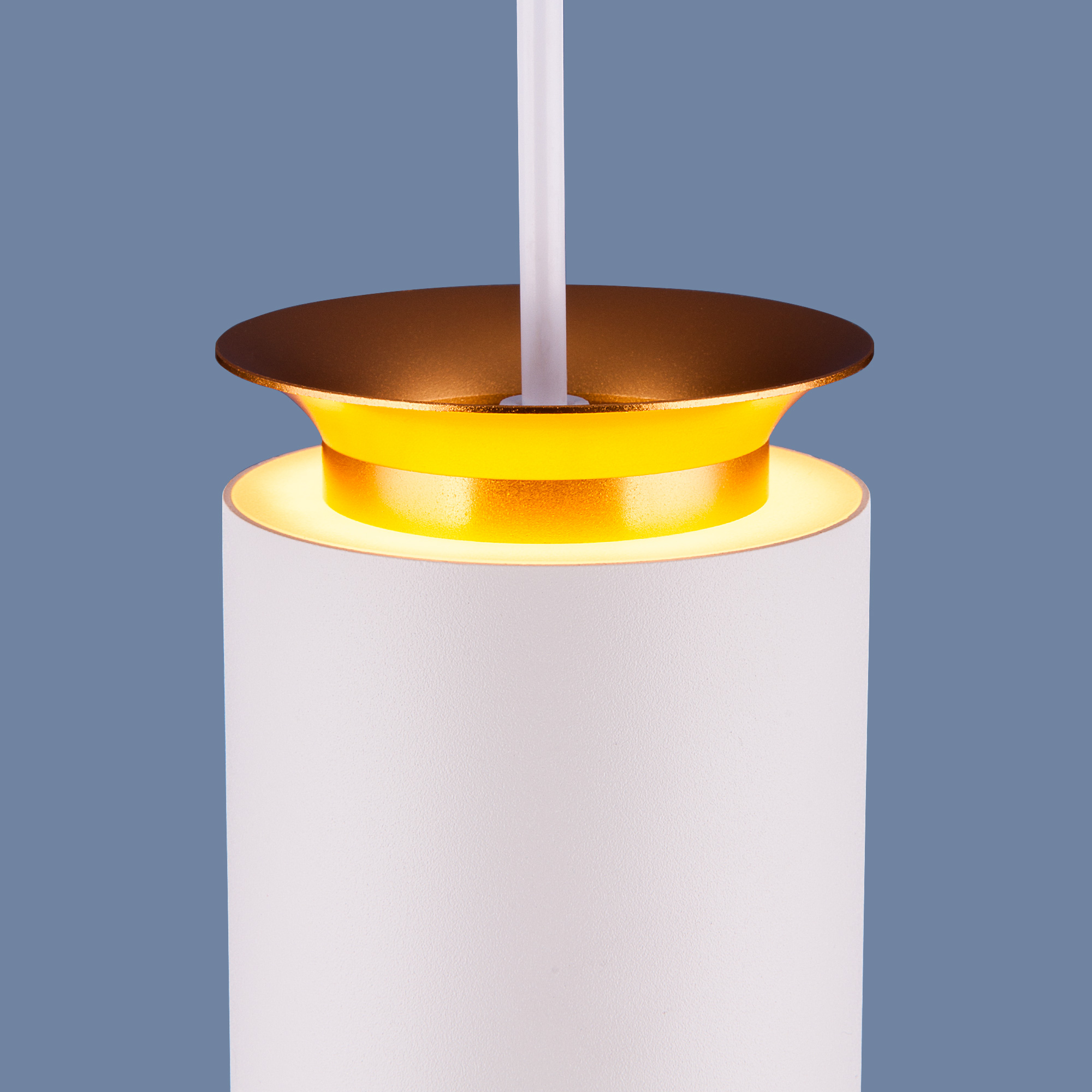 Подвесной светодиодный светильник Elektrostandard DLS021 9+4W 4200К белый матовый/золото a045501