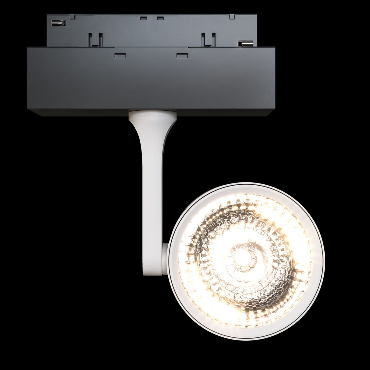 Трековый светодиодный светильник однофазный Maytoni TRACK LAMPS TR024-2-10W4K