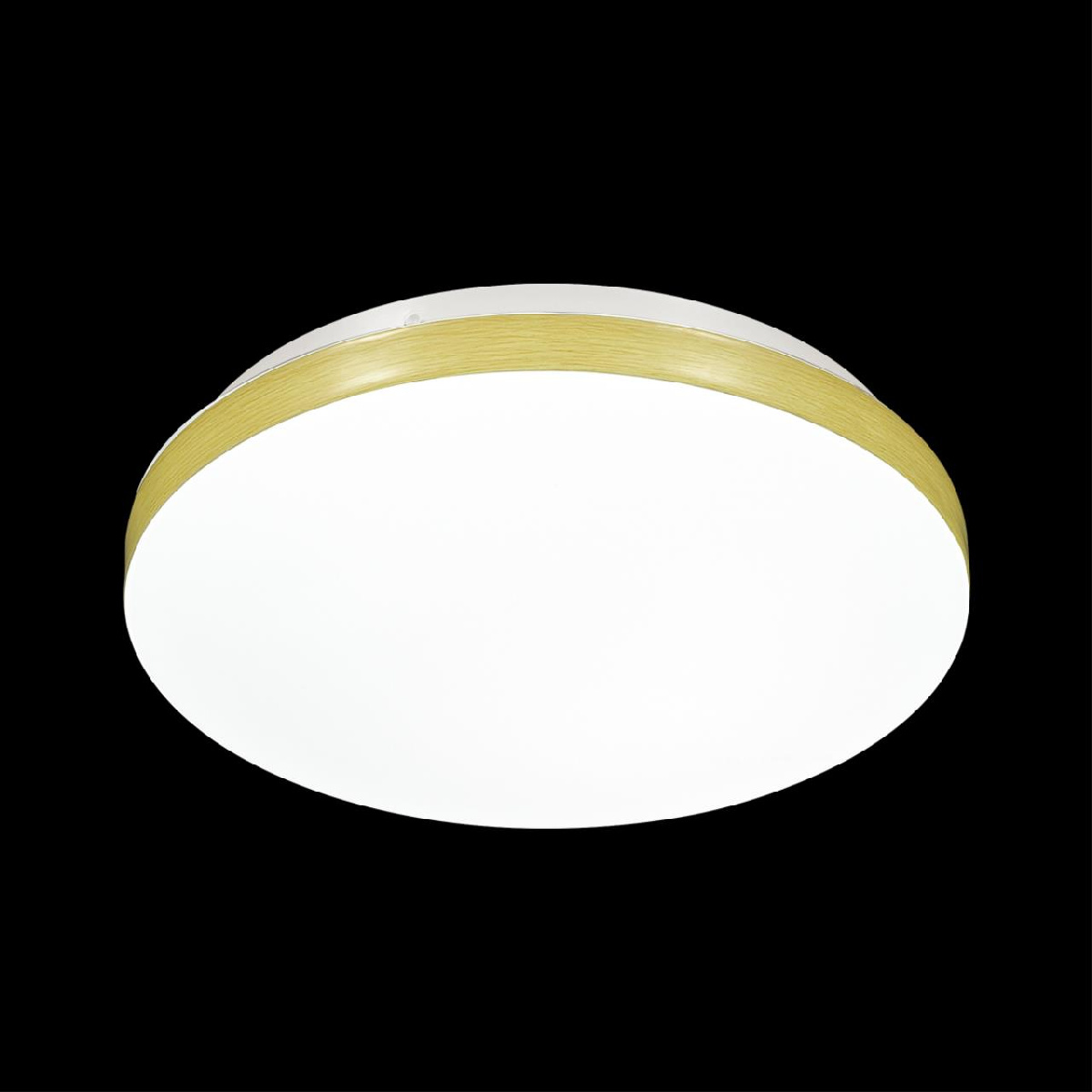 Настенно-потолочный светильник Sonex 3066/CL