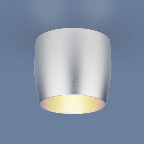 Встраиваемый потолочный светильник Elektrostandard 6074 MR16 SL серебро a043976