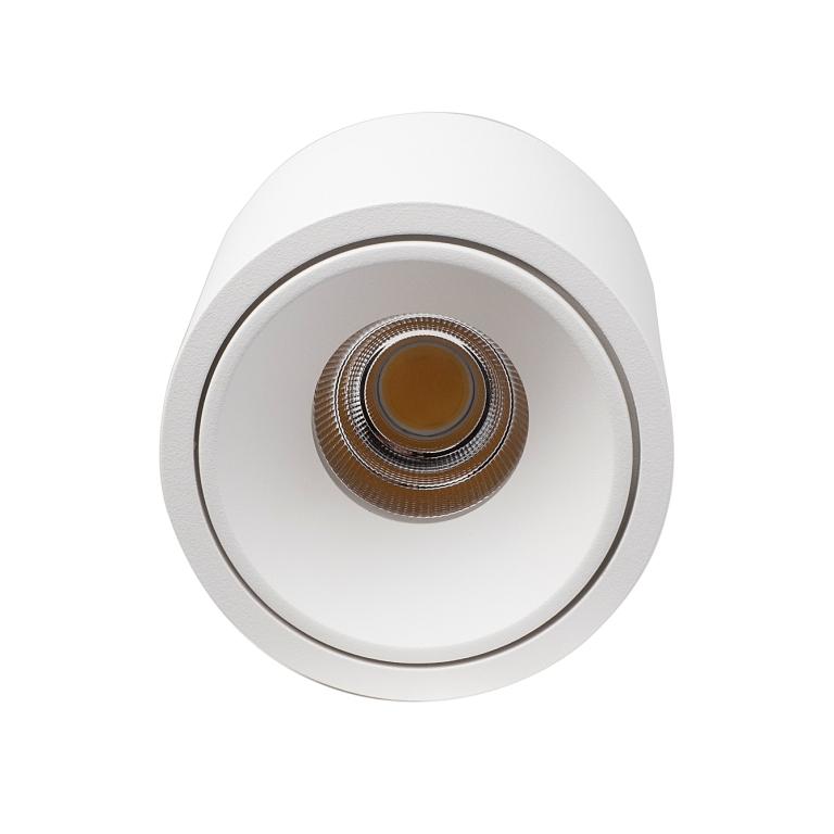 Накладной светодиодный светильник LeDron RINBOK White