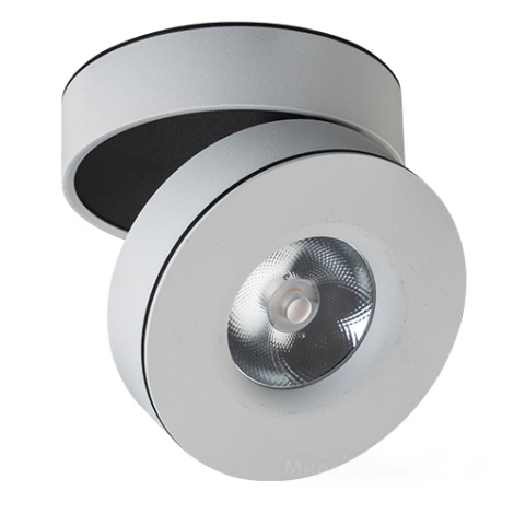 Накладной поворотный светодиодный светильник Megalight M03-0101 WHITE