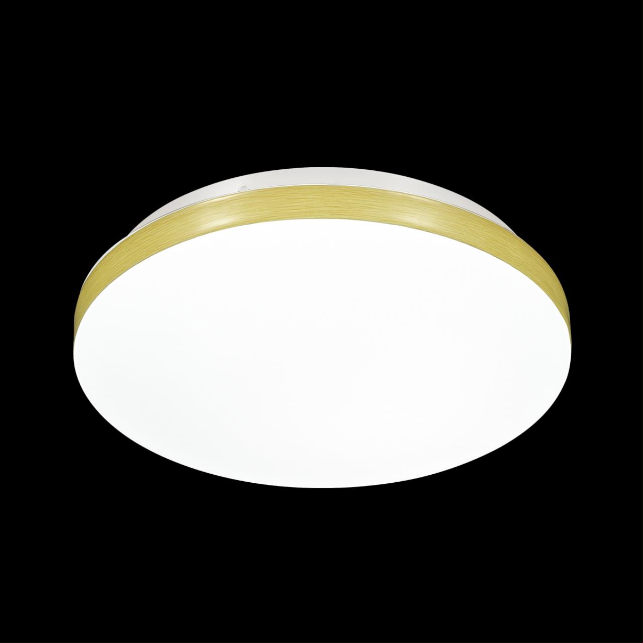 Настенно-потолочный светильник Sonex 3066/AL