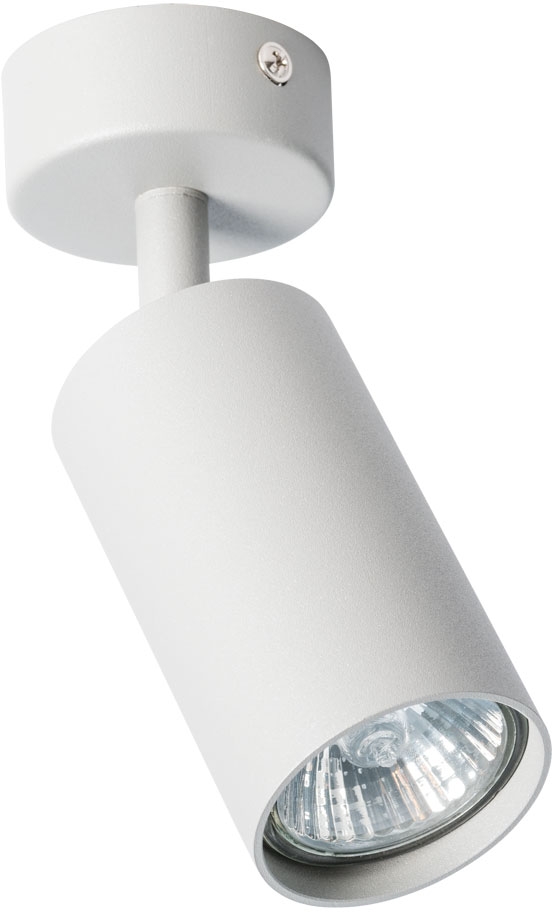 Спот настенно-потолочный Arte Lamp Aquarius A3216PL-1GY