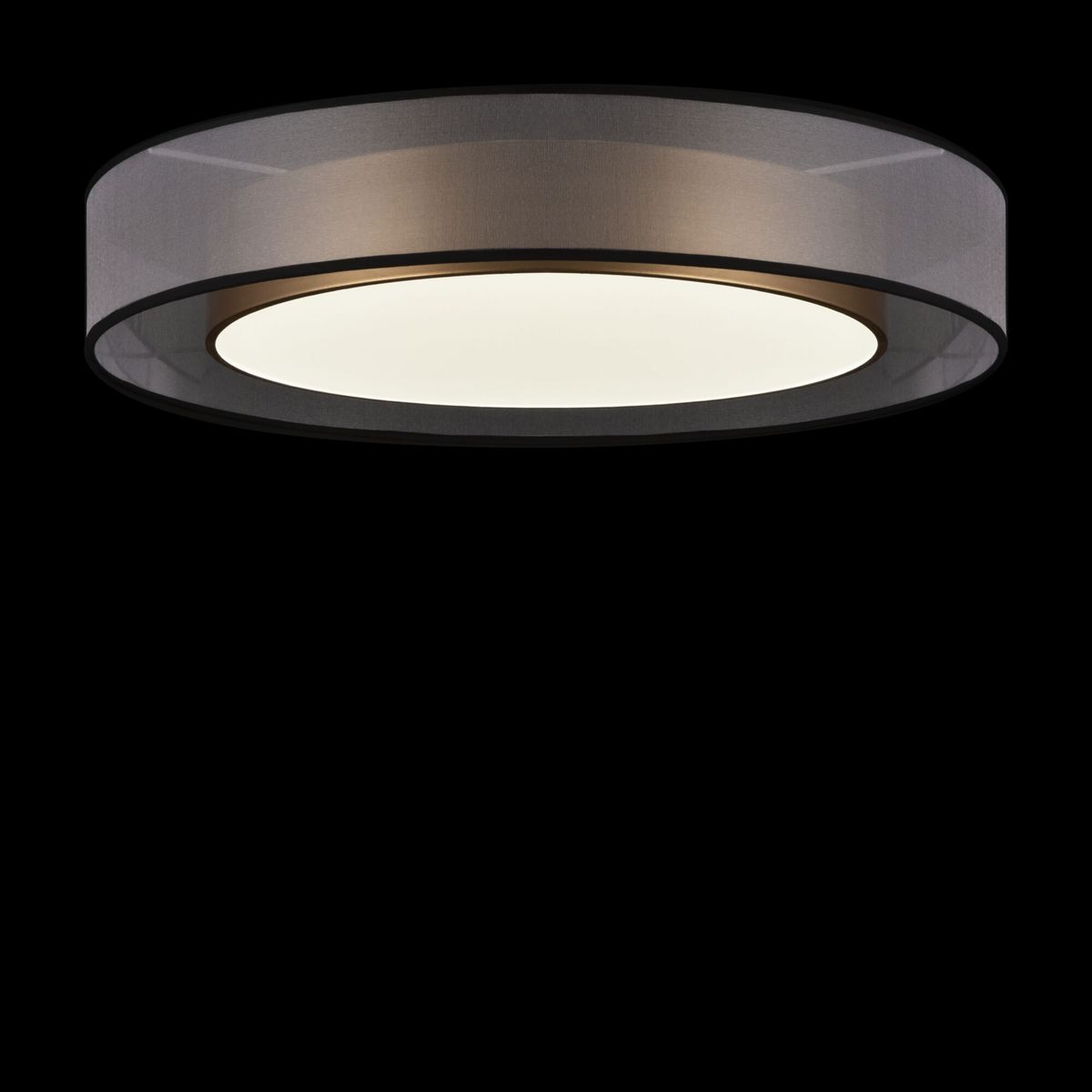 Потолочный светодиодный светильник Freya ZOTICUS FR6005CL-L48G
