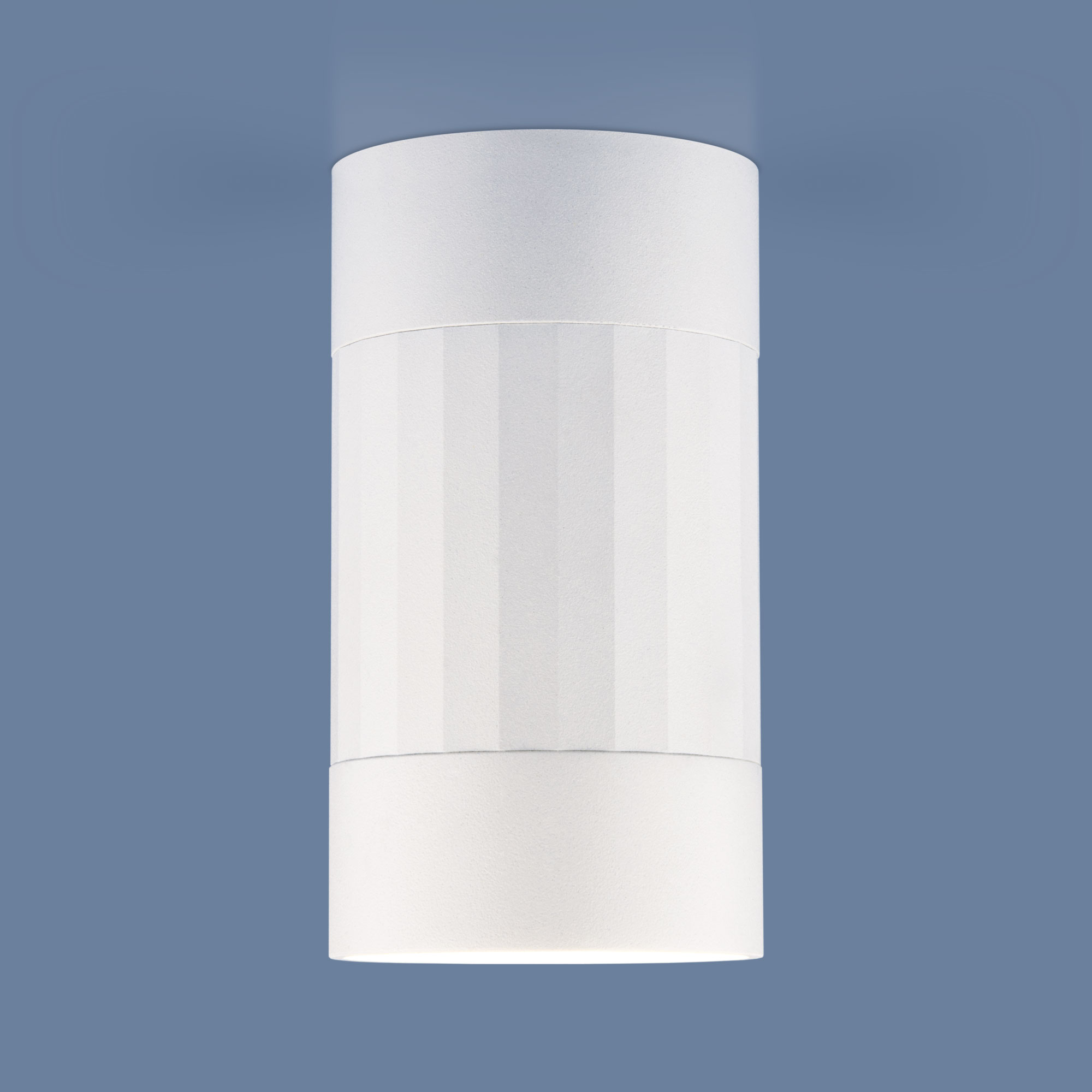 Накладной потолочный светильник Elektrostandard Mizar DLN111 GU10 белый a047754