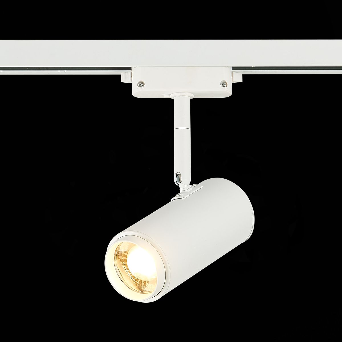 Трековый однофазный светодиодный светильник ST Luce ZOOM ST600.536.12