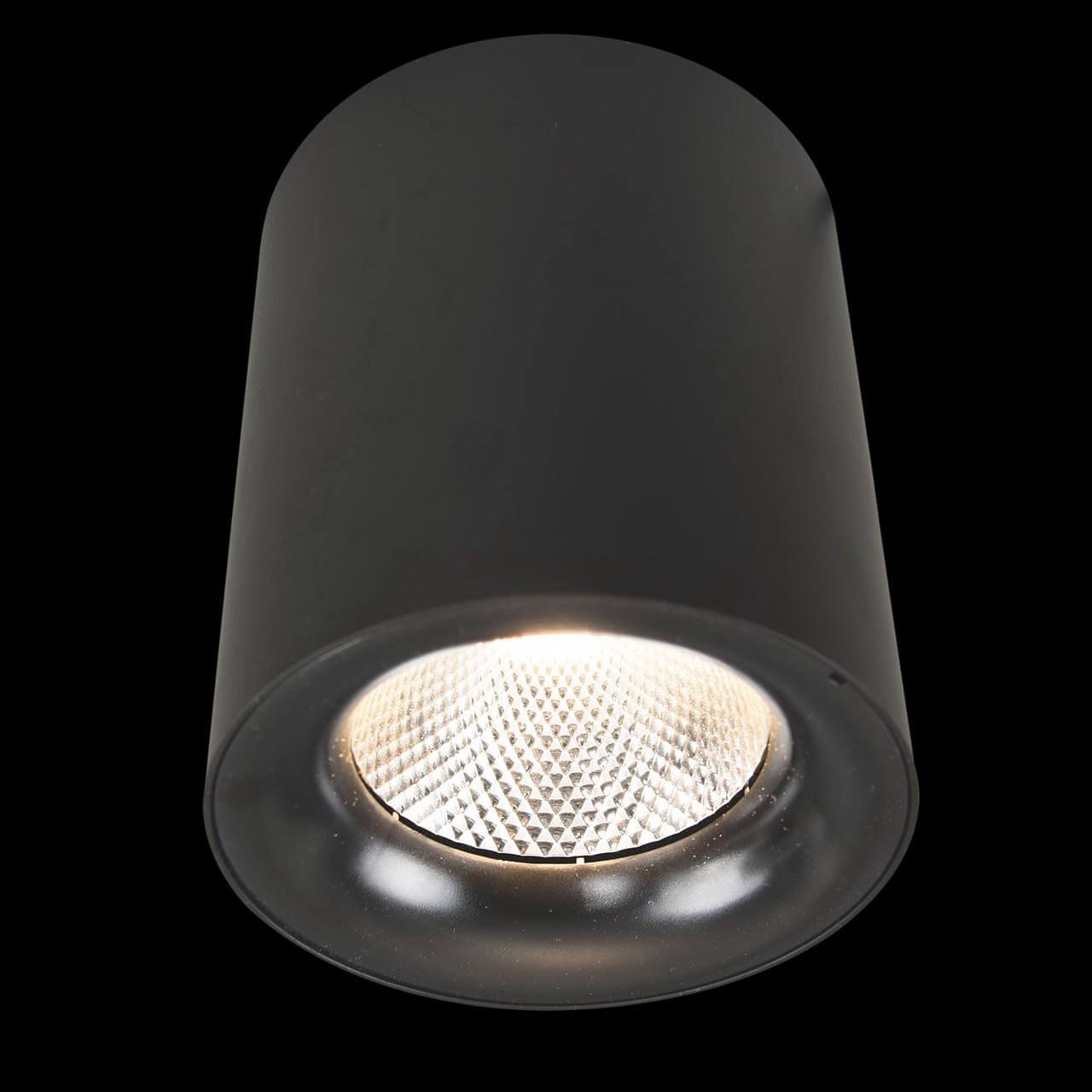 Светильник накладной Arte Lamp Facile A5118PL-1BK