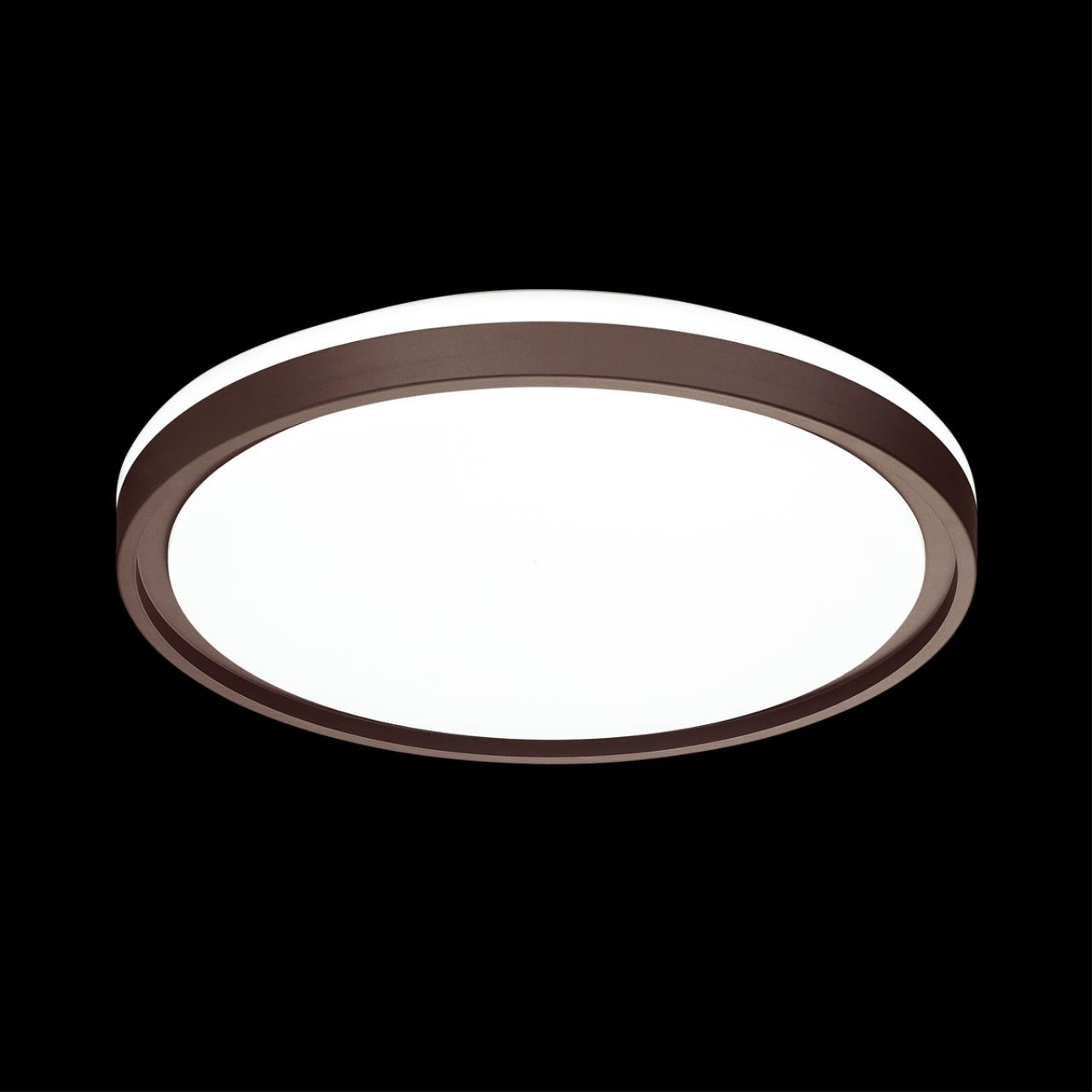 Настенно-потолочный светильник Sonex 3044/DL