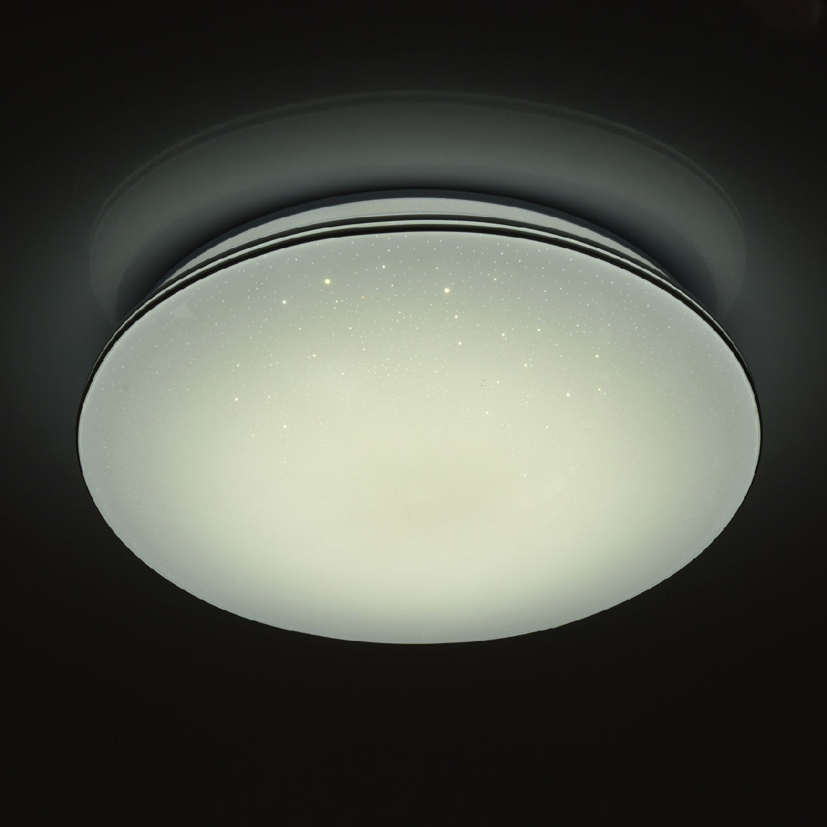Светильник потолочный светодиодный MW-Light Ривз 674014701