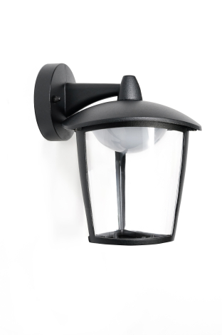 Настенный светодиодный уличный светильник Oasis Light PYRAMID W2622